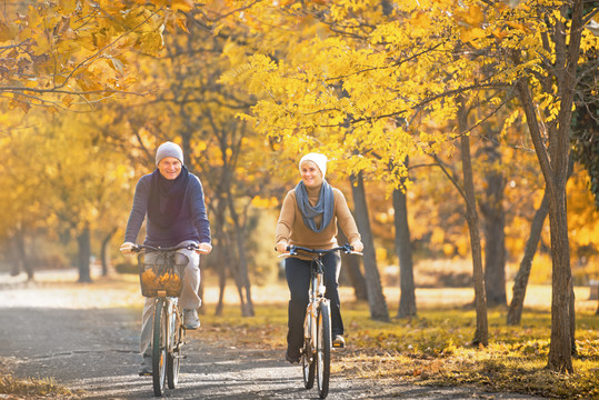 Fahrrad im Herbst