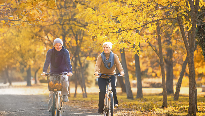 Fahrrad im Herbst